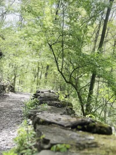 Frick Park - Pittsburgh, PA