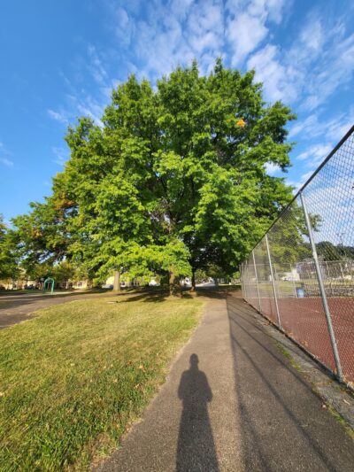 Garland Park - Pittsburgh, PA