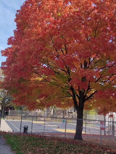 Garland Park - Pittsburgh, PA