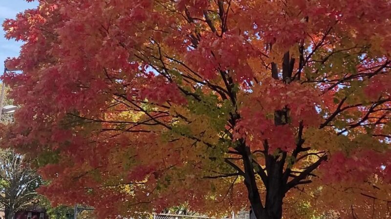 Garland Park - Pittsburgh, PA