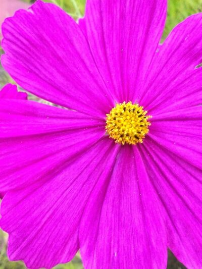 Hale Park - Pittsburgh, PA