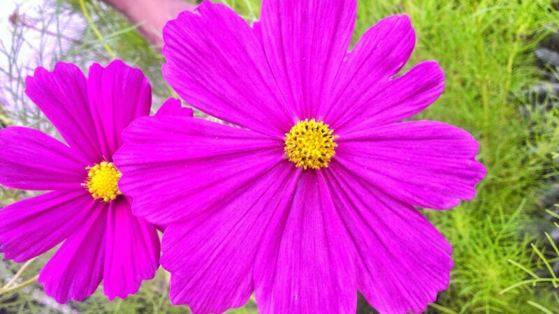 Hale Park - Pittsburgh, PA