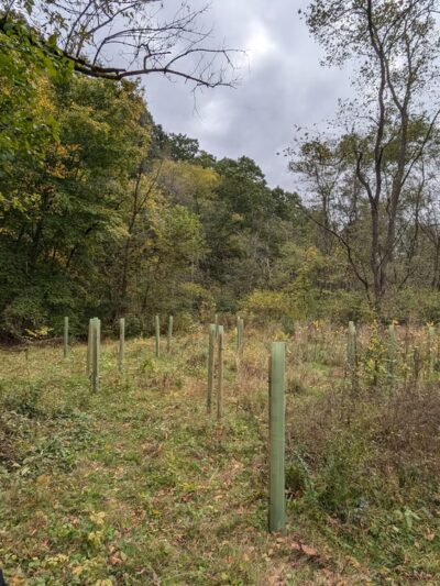 Hardie Valley Park - Pittsburgh, PA
