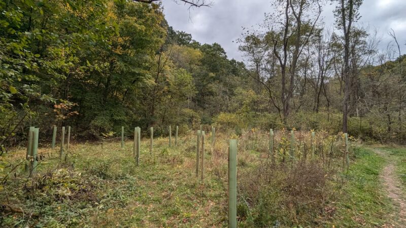 Hardie Valley Park - Pittsburgh, PA