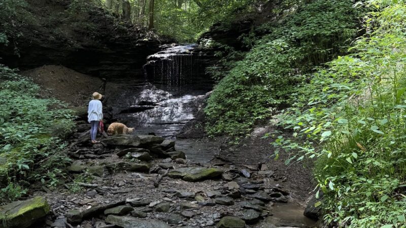 Hardie Valley Park - Pittsburgh, PA