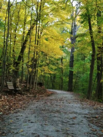Hot Dog Dam Dog Park - Pittsburgh, PA