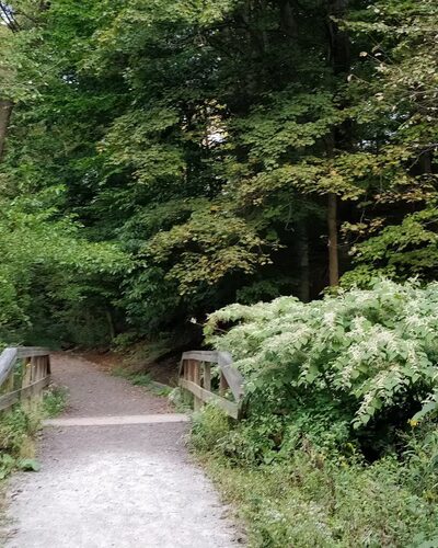 Hot Dog Dam Dog Park - Pittsburgh, PA
