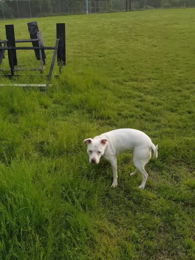 Kennard Playground - Pittsburgh, PA