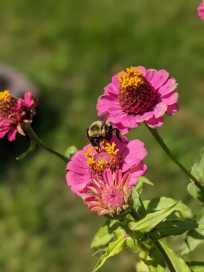 Look Out Street Parklet - Pittsburgh, PA
