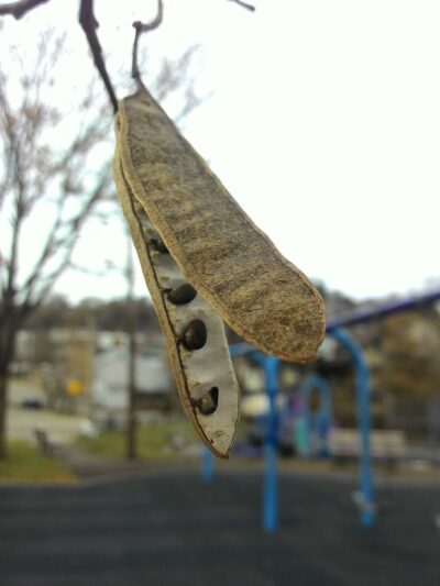 Look Out Street Parklet - Pittsburgh, PA