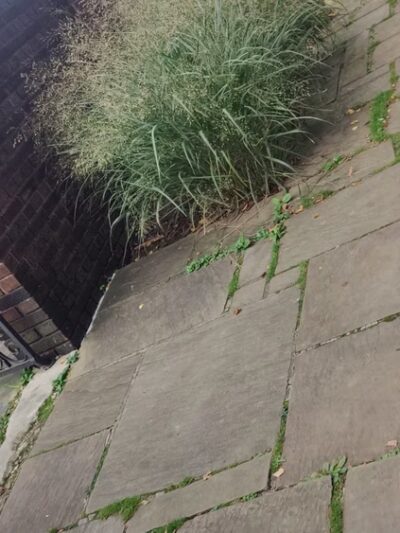 Mellon Park - Pittsburgh, PA