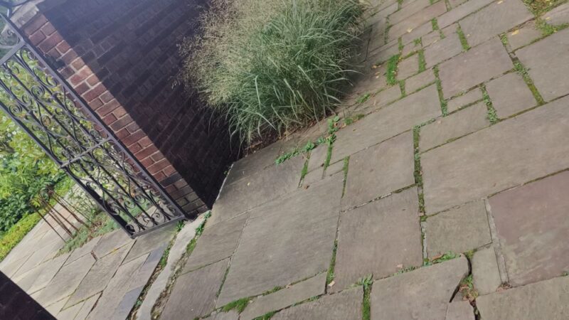 Mellon Park - Pittsburgh, PA