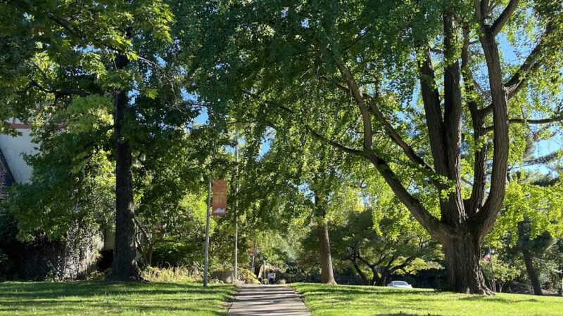 Mellon Park - Pittsburgh, PA
