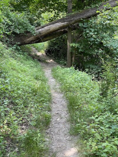 Mt. Washington Park - Pittsburgh, PA