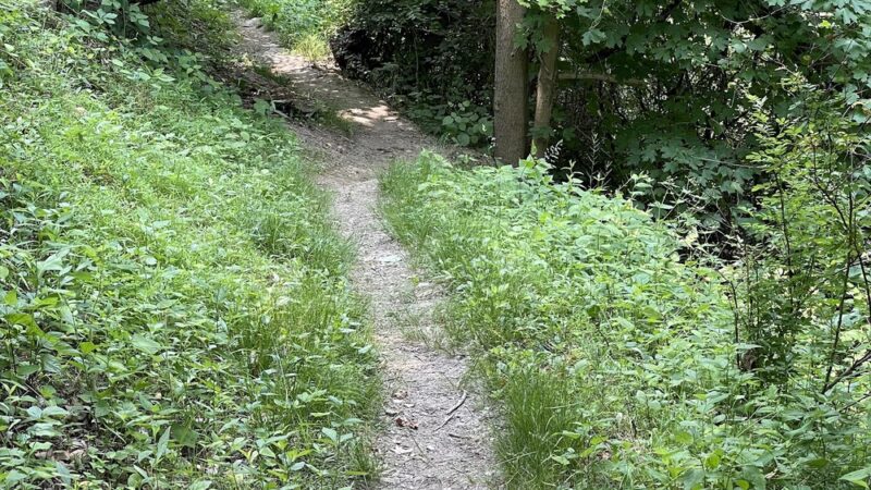 Mt. Washington Park - Pittsburgh, PA