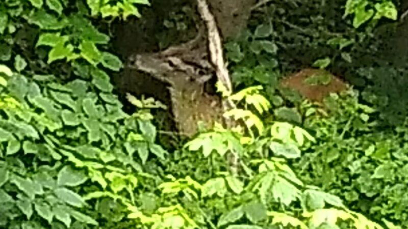 Mt. Washington Park - Pittsburgh, PA