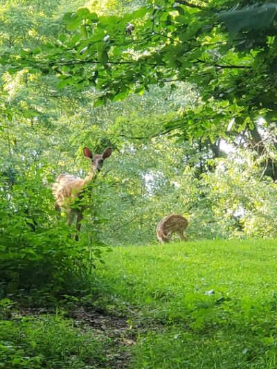 Mt. Washington Park - Pittsburgh, PA