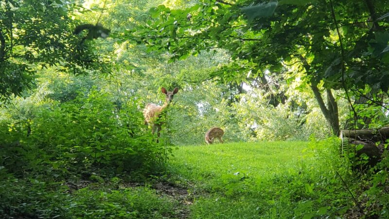 Mt. Washington Park - Pittsburgh, PA