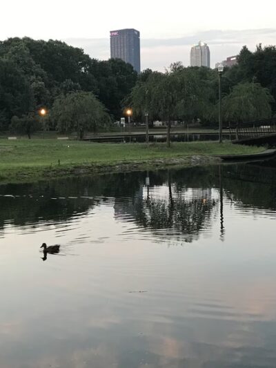 Off Leash Dog Exercise Area - Pittsburgh, PA