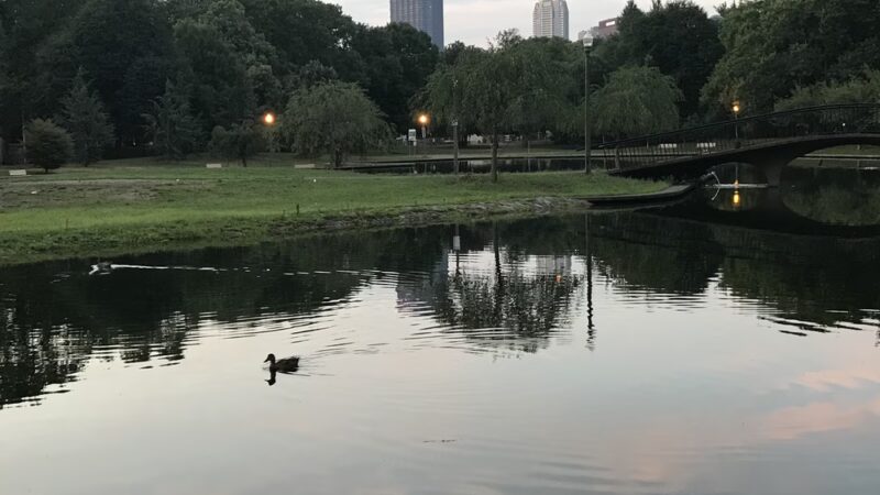 Off Leash Dog Exercise Area - Pittsburgh, PA