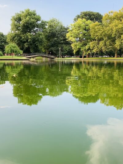 Off Leash Dog Exercise Area - Pittsburgh, PA