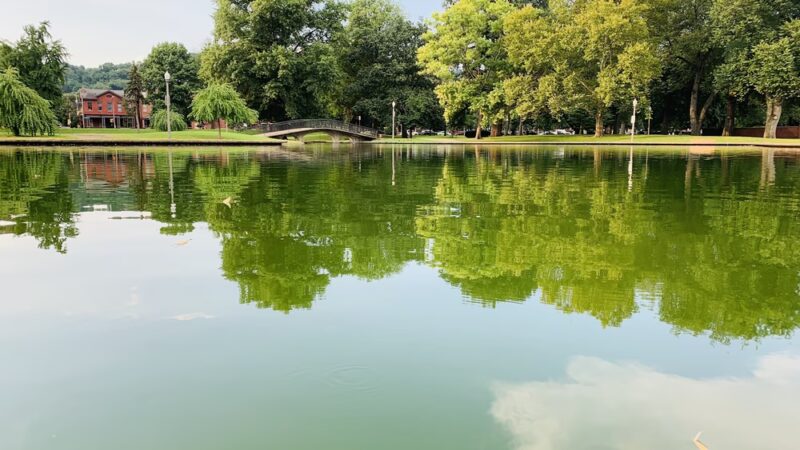 Off Leash Dog Exercise Area - Pittsburgh, PA