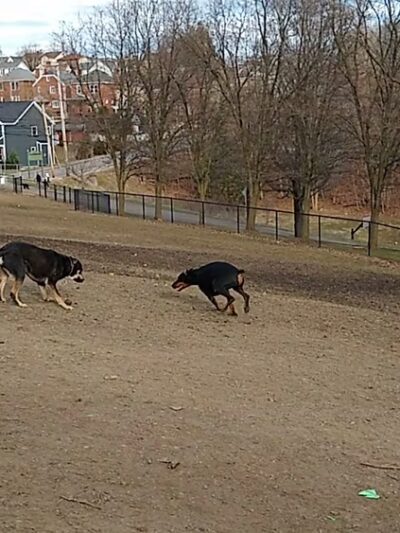 Olympia Park - Pittsburgh, PA