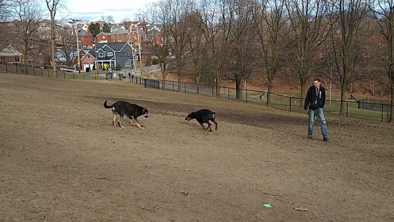 Olympia Park - Pittsburgh, PA