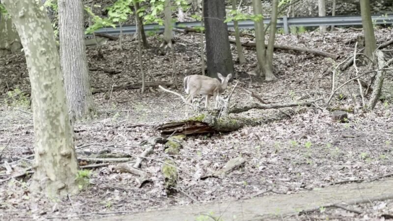Riverview Park - Pittsburgh, PA