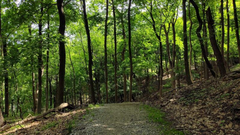 Riverview Park - Pittsburgh, PA