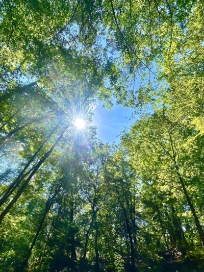 Riverview Park - Pittsburgh, PA