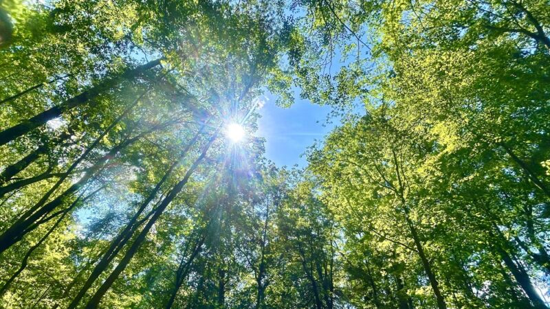 Riverview Park - Pittsburgh, PA