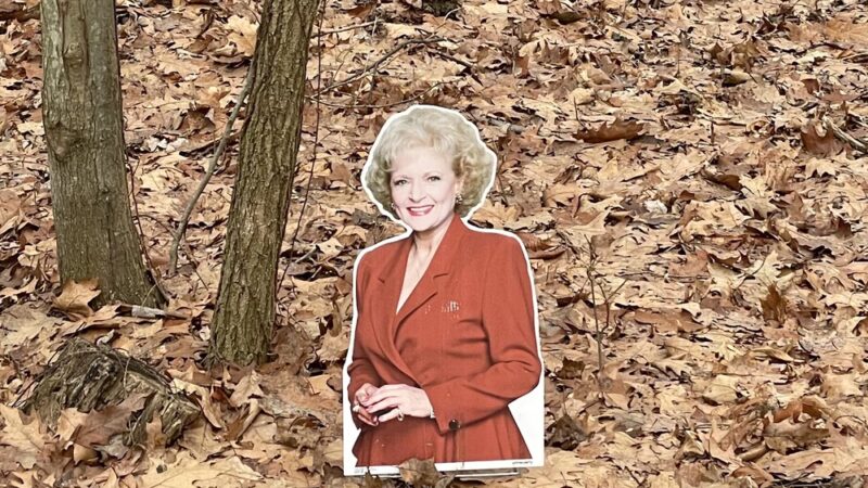 Rosecliff Park - Pittsburgh, PA