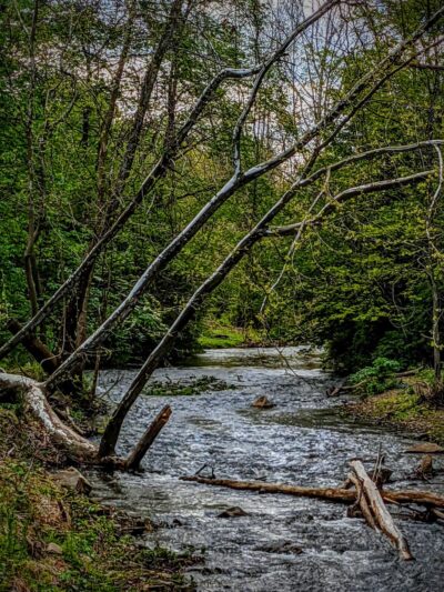 Salamander Park - Pittsburgh, PA