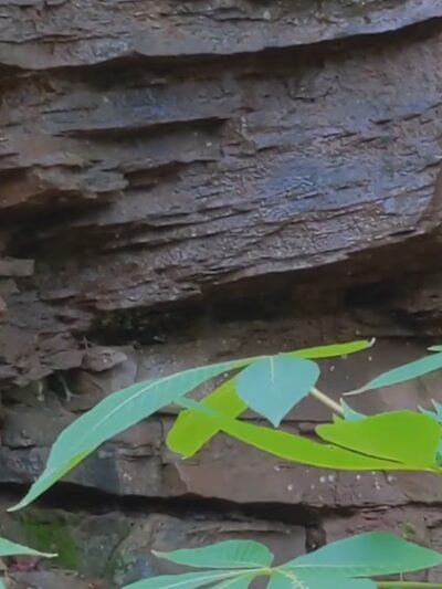 Salamander Park - Pittsburgh, PA