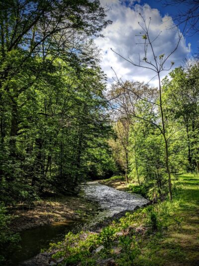 Salamander Park - Pittsburgh, PA