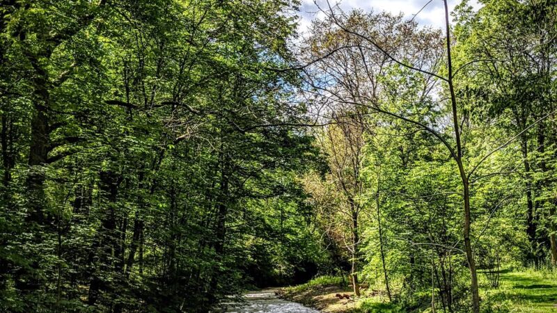 Salamander Park - Pittsburgh, PA