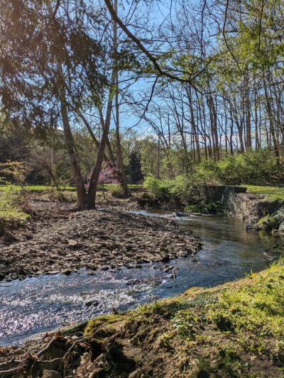 Salamander Park - Pittsburgh, PA