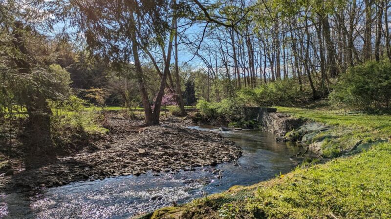 Salamander Park - Pittsburgh, PA