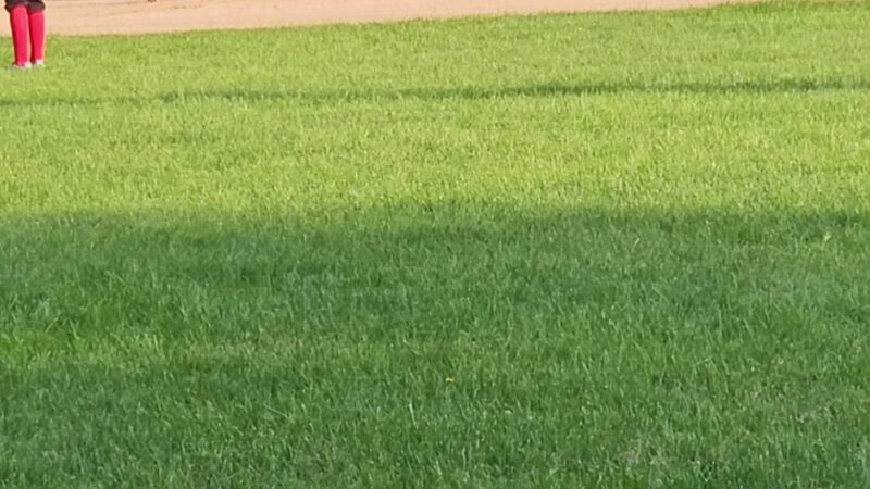 Scharmyn Park - Pittsburgh, PA