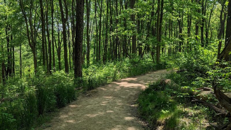 Settlers Cabin Park - Pittsburgh, PA