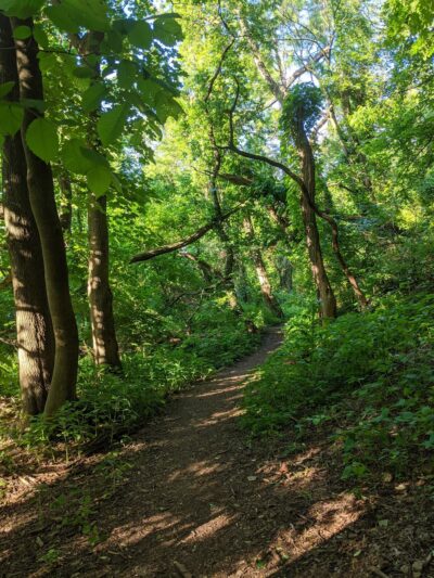 South Side Park - Pittsburgh, PA