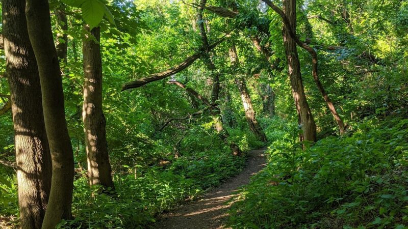 South Side Park - Pittsburgh, PA