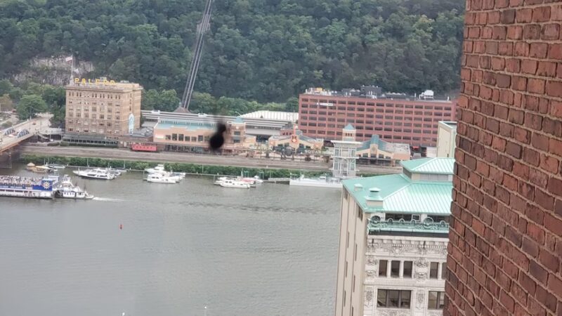 Village Park - Pittsburgh, PA