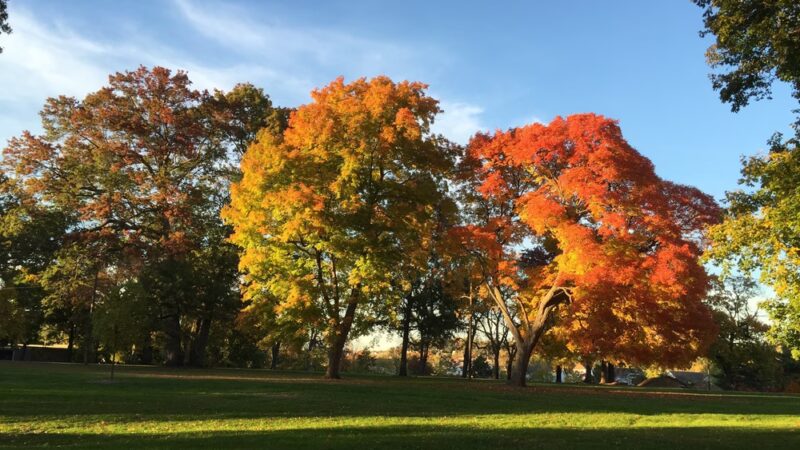 Westinghouse Park - Pittsburgh, PA