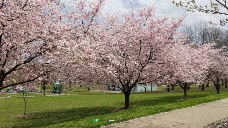 Westinghouse Park - Pittsburgh, PA