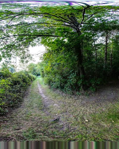 Griffith Park - Pittsford, NY