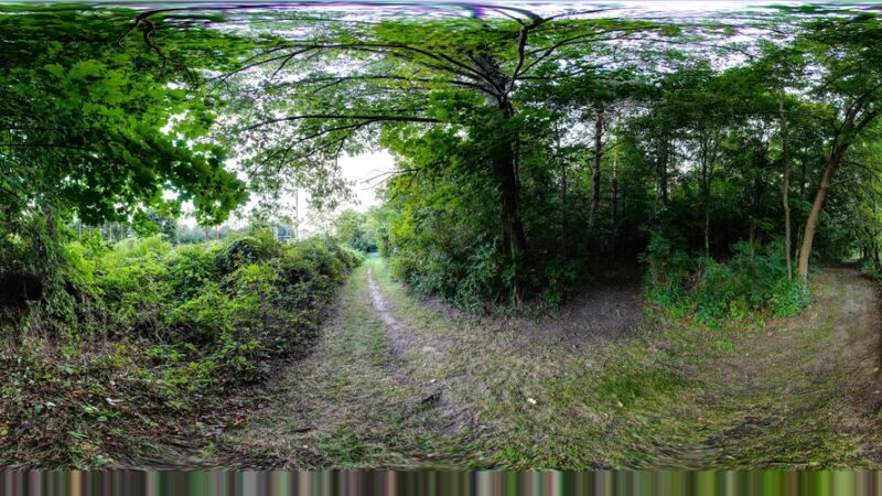 Griffith Park - Pittsford, NY