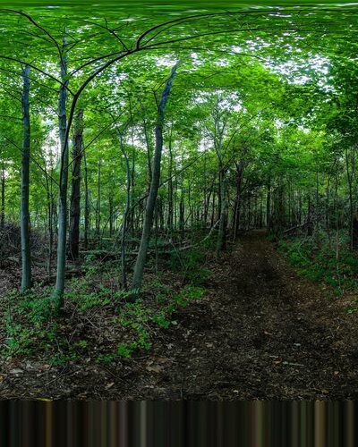 Griffith Park - Pittsford, NY