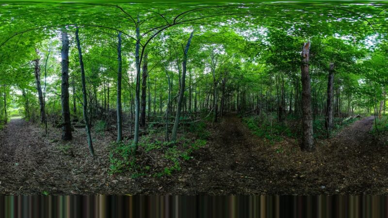 Griffith Park - Pittsford, NY